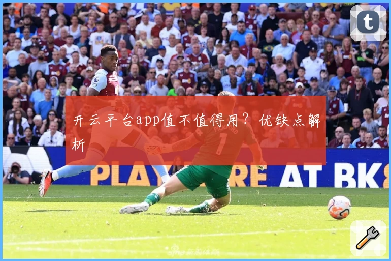 开云平台app值不值得用？优缺点解析