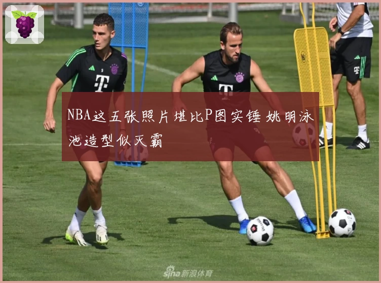 NBA这五张照片堪比P图实锤 姚明泳池造型似灭霸